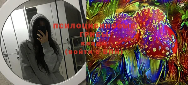 стаф Михайловск