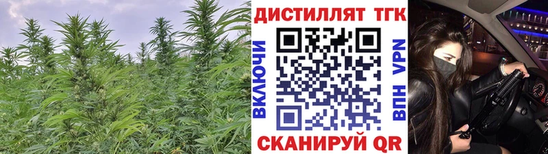 Купить где  Сортавала  Дистиллят ТГК концентрат 