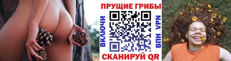 Купить  Сортавала  Псилоцибиновые грибы MAGIC MUSHROOMS 