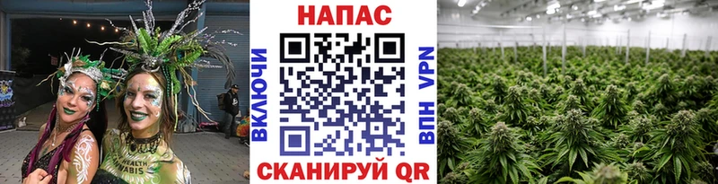 Купить где  Сортавала  Каннабис конопля 